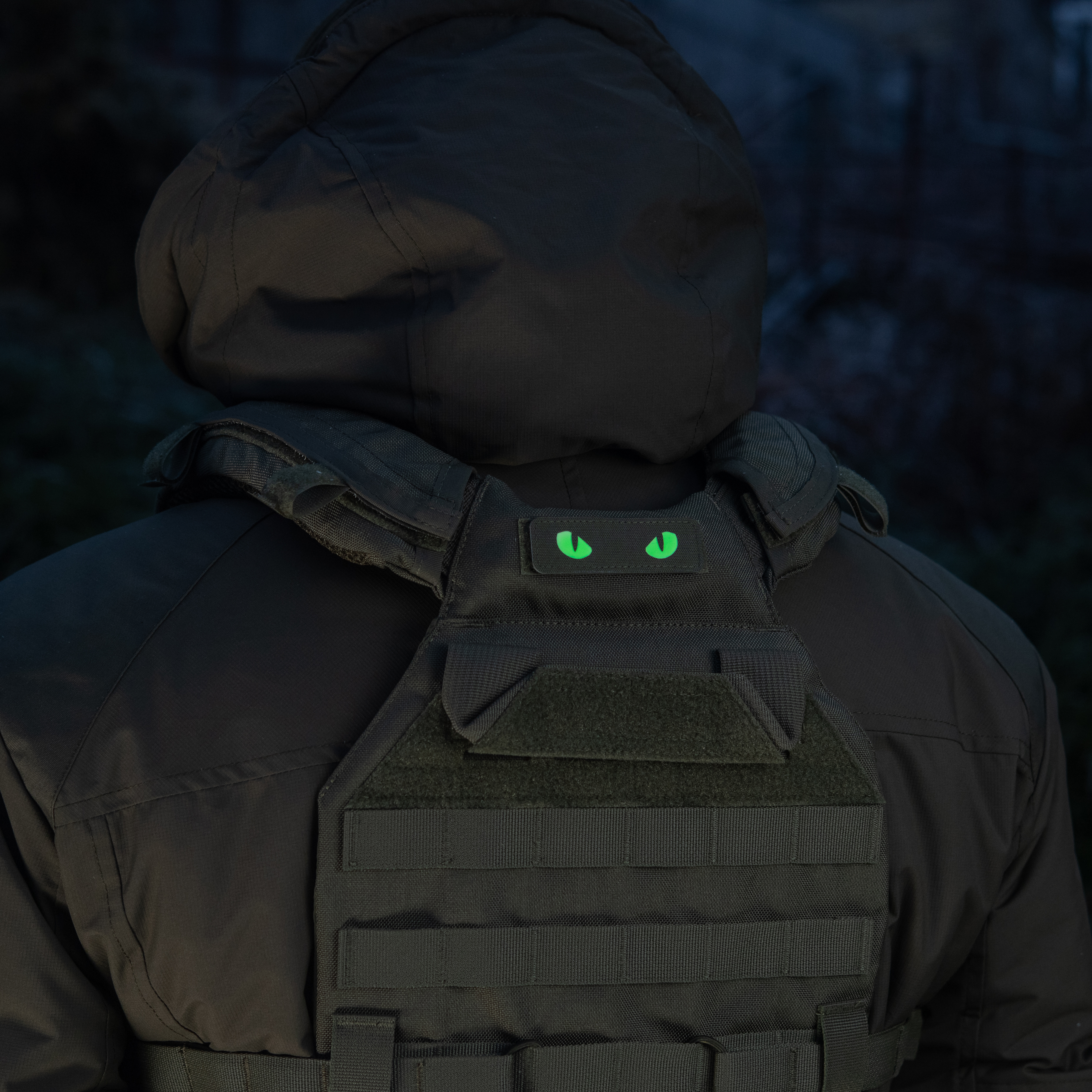 M-Tac нашивка Cat Eyes Laser Cut Ranger Green/GID — 6