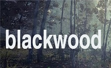  Новый бренд BLACKWOOD