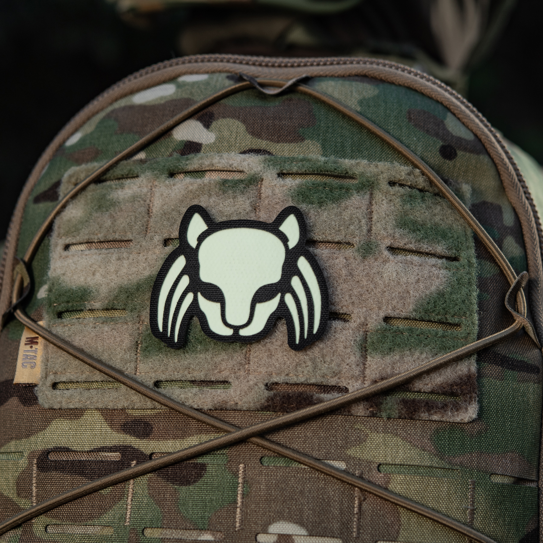 M-Tac нашивка Cat Predator Black/GID — 11
