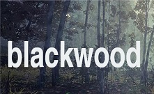  Поставка от бренда BLACKWOOD