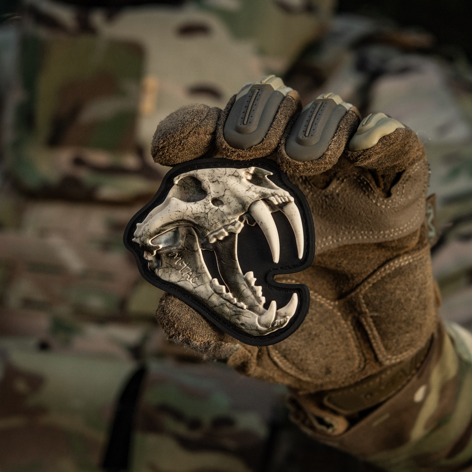 M-Tac нашивка Old Tiger full color слонова кістка — 7