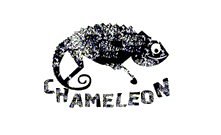  Поствка парок N3B від бренду CHAMELEON 