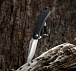 M-Tac ніж складний Type 23 Black/Steel– Мілітарист - мініатюра 9
