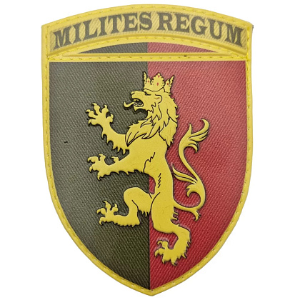 Шеврон ПВХ ЗСУ 24 окрема механізована бригада імені короля Данила об'ємний– Мілітарист - зображення 1