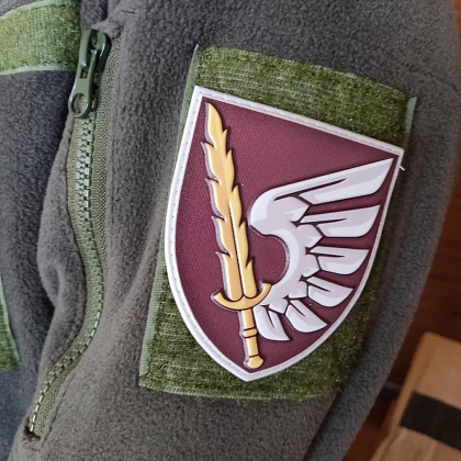 Шеврон ПВХ ЗСУ 79 ОДШБр– Мілітарист - зображення 3