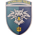 Шеврон ПВХ ЗСУ 38 окрема бригада морської піхоти Victoria Amat Fidelis– Мілітарист - мініатюра 1