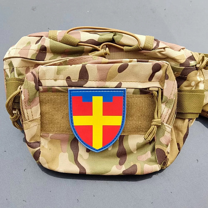 Шеврон ПВХ ТрО 115 бригади ЗСУ Житомир– Мілітарист - зображення 2