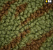 M-Tac кофта Sherpa Fleece Karpaty– Мілітарист - мініатюра 8