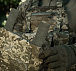 M-Tac фартук противоосколочный с баллистическим пакетом 1 класс (BRONYX) Laser Cut MM14– Милитарист - миниатюра 21