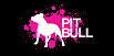 Pit Bull Energy