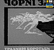 M-Tac футболка Чорні Запорожці Light Grey– Мілітарист - мініатюра 6