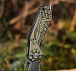 M-Tac ніж складний Type 12 Scandinavian Black/Sand– Мілітарист - мініатюра 12